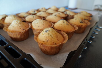 homemade cupcakes