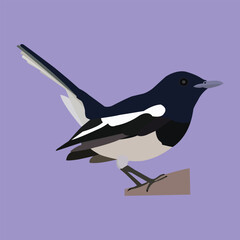 A Pretty bird vector art work. 