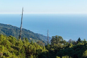 Looking out towards the pacific ocean horizon at big sur, up on a mountain close to the coast.