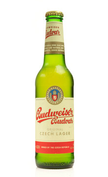 Budweiser Budvar Czech lager beer full glass bottle isolated on white background