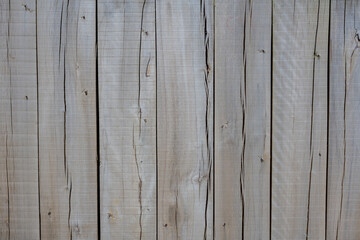 Obraz premium wood texture