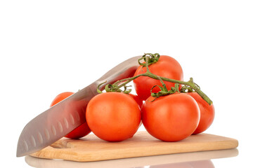Several fresh tomatoes on a branch with a metal knife on a wooden cutting board, macro, isolated on white background.