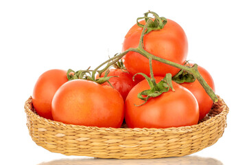 Several fresh tomatoes on a branch in a straw plate, macro, isolated on a white background.