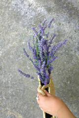 Hand holding wicker bag with picked lavender flowers. Selective focus.