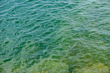 Sea surface seen from the coast in summer