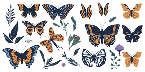 Exotic Elegance. Collection of Patterned Butterfly Vectors