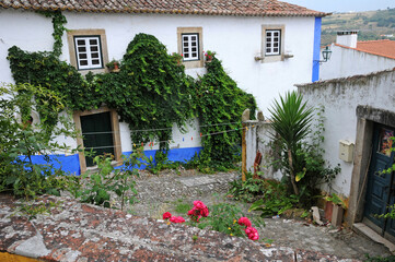 Fototapeta na wymiar the small village of Obidos in Portugal