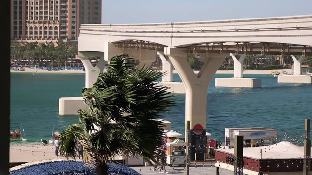 strong wind shakes a palm tree in Dubai, slow motion