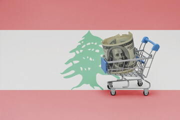 Metal shopping basket with dollar money banknote on the national flag of lebanon background....