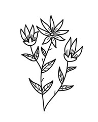 Minimalistic floral branch. Hand drawn icon with beautiful flowering plant or field grass. Design element for tattoo in linear style. Cartoon flat vector illustration isolated on white background