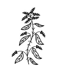 Minimalistic floral branch. Hand drawn icon with growing grass or blooming meadow flower. Design element for tattoo in linear style. Cartoon flat vector illustration isolated on white background