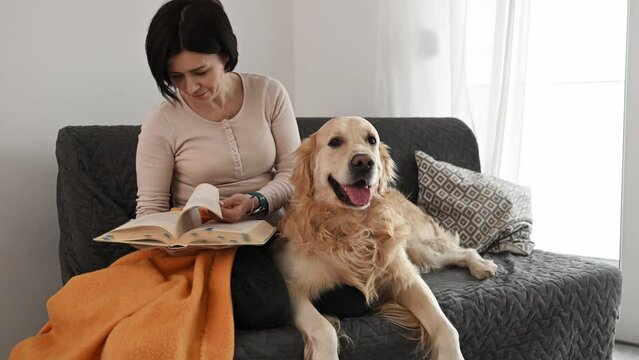 Pretty girl with golden retriever dog reading book and choosing pages at home. Restling with lovely dog.