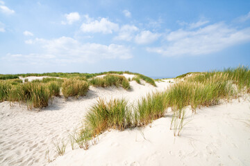 Dune beach on a sunny day