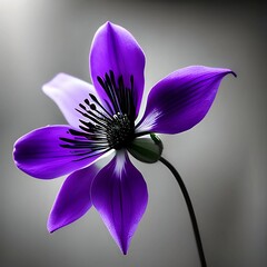 Columbine 
