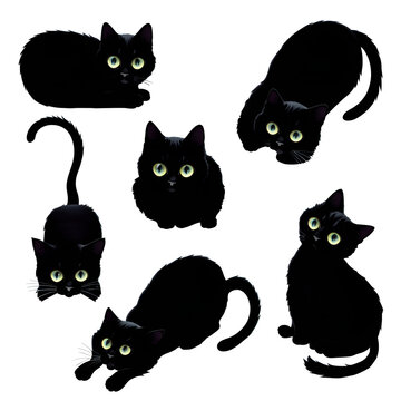 Cats - cute cats, cat silhouette collection, Playing cat set - png, transparent