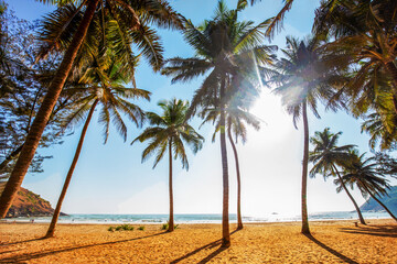 Idyllic view of the south of India on a sunny beach in Karnataka (or Kerala, Andhra Pradesh, Goa, Tamil Nadu,) relaxation in the winter - obrazy, fototapety, plakaty