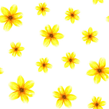 Seamless pattern with flowers. Watercolor abstract bright summer yellow flowers. Isolated objects on white background