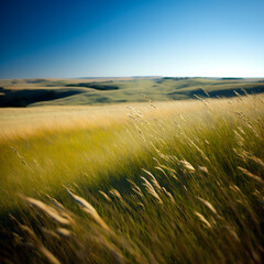 A_vast_expanse_of_rolling_hills_and_grasslands