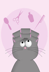 illustration of a nice cat for pet grooming