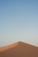 Fototapeta na wymiar Golden yellow sand dune in contrast with soft blue sky in the dry hot desert 