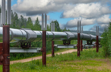 Goldstream, Alaska, USA - July 26, 2011: Alyeska Trans-Alaska pipeline viewing point. Long view on the pipeline under blue cloudscape in green tree and weeds environment