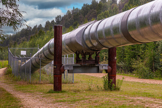 Goldstream, Alaska, USA - July 26, 2011: Alyeska Trans-Alaska pipeline viewing point. Shiny metal long pipe shown above ground along highway 2, forest in back, blue cloudscape