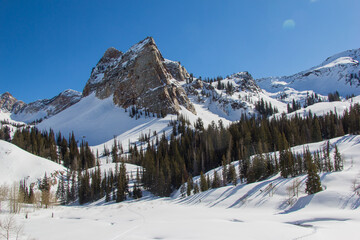 Hiking in the fresh snow of the wasatch mountains salt Lake City.