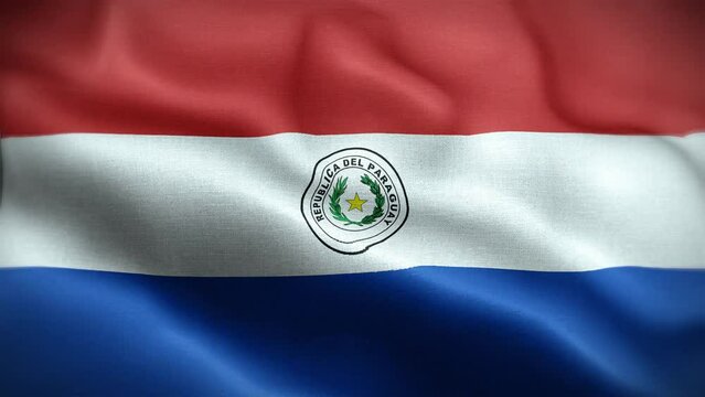 4K Textured Flag of Paraguay Animation Stock Video - Paraguayan Flag Waving in Loop - Highly Detailed Paraguay Flag Stock Video
