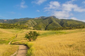 Pictures from the Satwiwa Trail in Thousands Oaks, outside of Los Angeles California