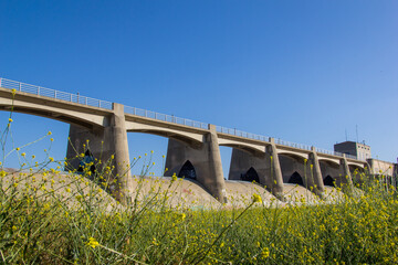 The large dam in and blooming wildflowers in Woodley Park in Los Angeles.