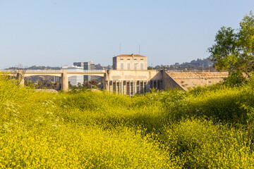 Fototapeta na wymiar The large dam in and blooming wildflowers in Woodley Park in Los Angeles.