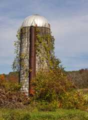 Old vine covered Silo on rural farm