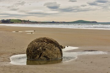 MOERAKI BOULDERS 