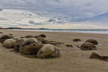 MOERAKI BOULDERS 