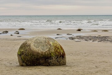 MOERAKI BOULDERS 