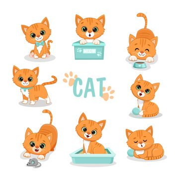 Set of funny cute cats in different poses in cartoon style.Ginger kitten.Vector illustration