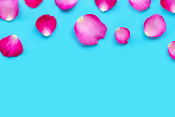 Rose petals on blue background.