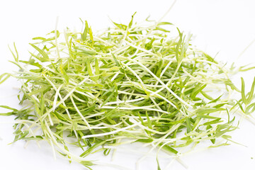 Water spinach sprouts. Organic vegetables