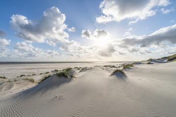Dune beach on a sunny summer day