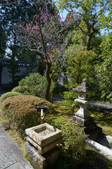 南禅寺　聴松院の灯篭と手水鉢　京都市左京区
