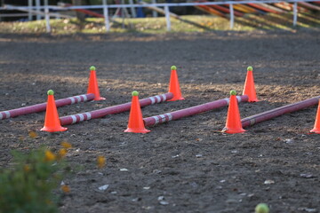 Obstacles and buoys in the sand