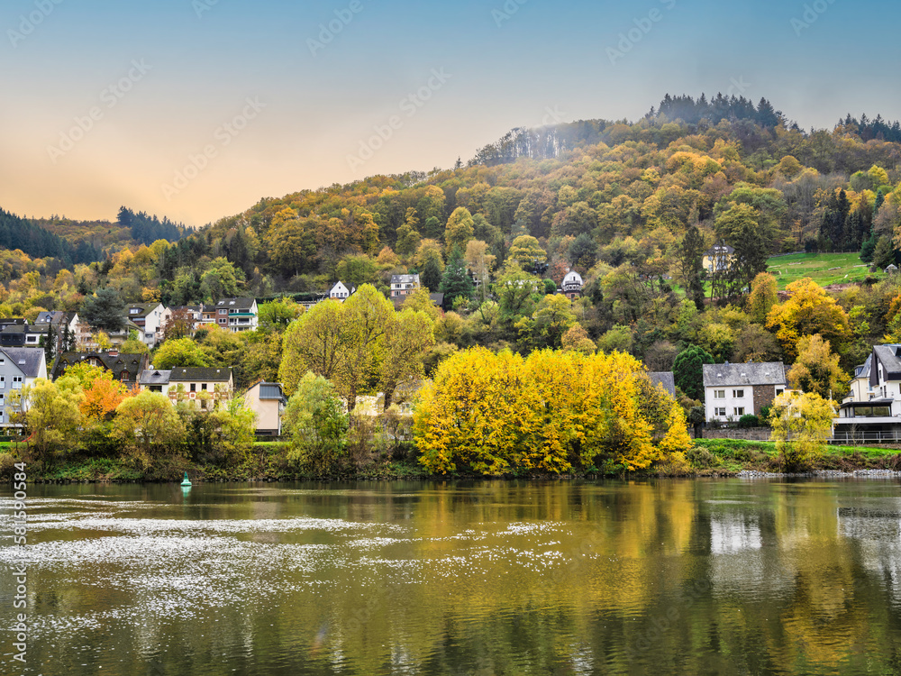 Poster East side of Sehl village on Moselle river during autumn with colourful trees in Cochem-Zell district, Germany