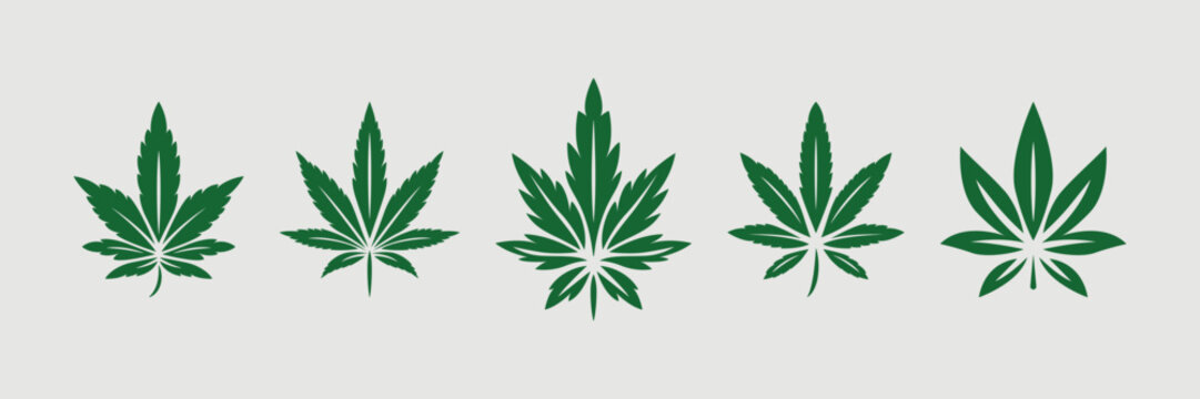 Green Cannabis Leaves. Hemp, Cannabis Leaf Icon Set Closeup Isolated on White Background. Growing Medical Marijuana. Vector Illustration