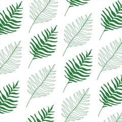 Green pattern with palm dypsis leaves on white background. Seamless summer palm hand drawn design. Great for label, print, packaging, fabric. Vector EPS10