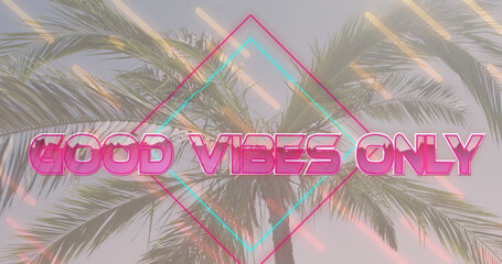 Obraz premium Image of the words good vibes only in pink with diamond and moving lines over sunlit palm tree