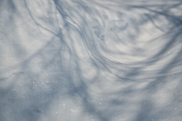 Tree Shadows on Fresh Sparkling Snow in Morning Light, United States