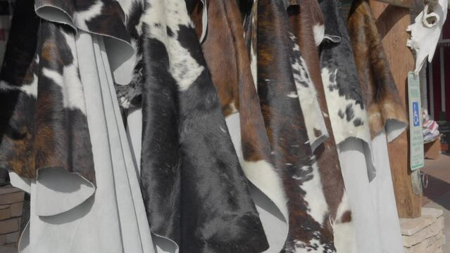 This panning video shows a row of cow hides being displayed in a rustic setting.