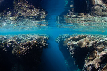 A shallow crevice has eroded in a shallow coral reef in Raja Ampat, Indonesia. This tropical region is known as the heart of the Coral Triangle due to its high marine biodiversity.