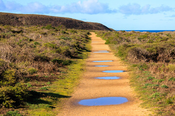 Puddles on flat trail through coastal park in Northern California