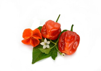 Red Habanero chili with flower and leaves one half isolated on white background hot Chinese pepper 